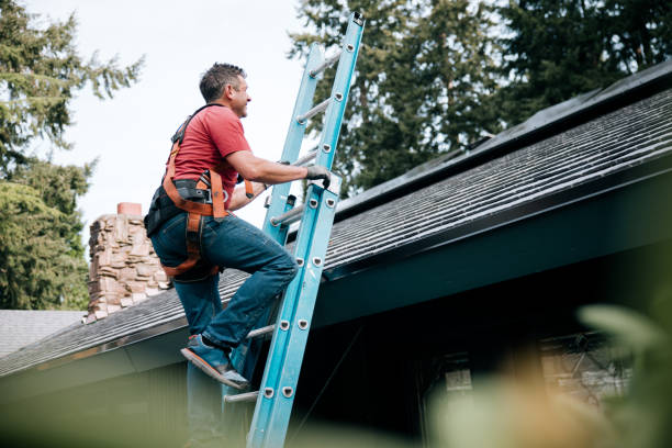 Best Emergency Roof Repair Services  in Embreeville, TN